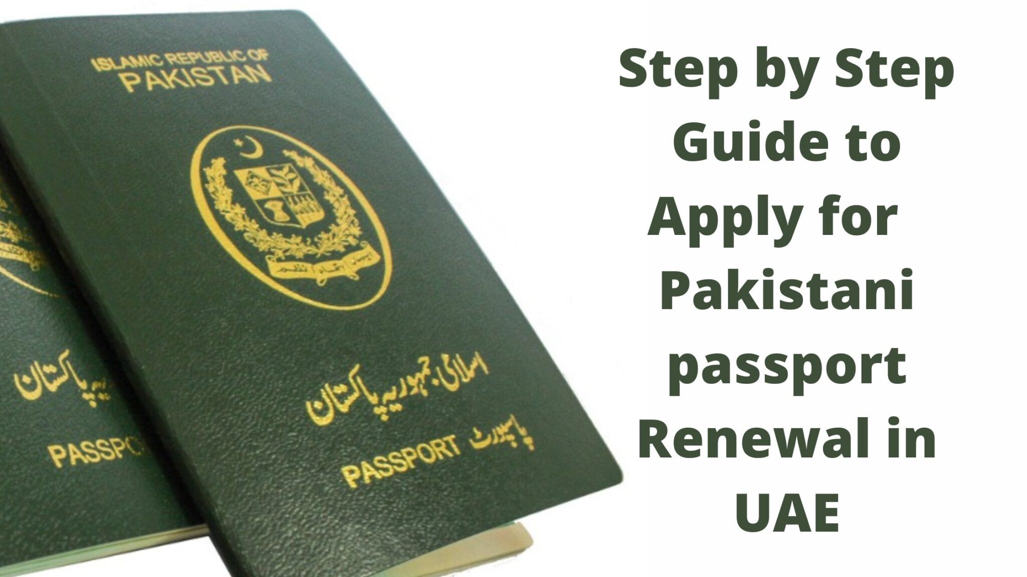 Pakistani Passport Renewal In UAE TYPING CENTER IN ABU DHABI