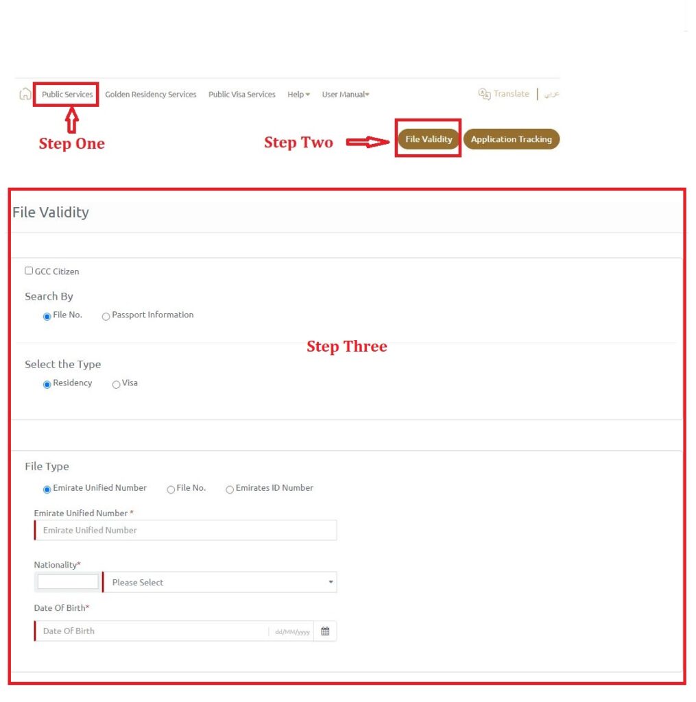 check visa status online